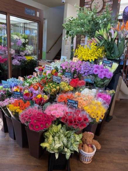 「Ｓｅｉｋａ−えん」　（福岡県直方市）の花屋店舗写真1