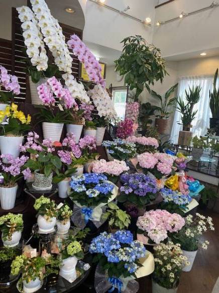 「Ｓｅｉｋａ−えん」　（福岡県直方市）の花屋店舗写真2